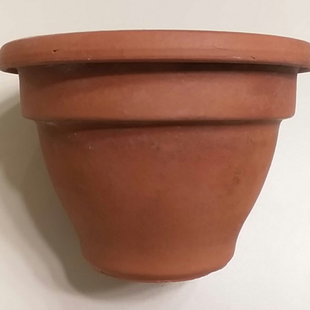 Wall Decor Planter - Picture 7 of 7